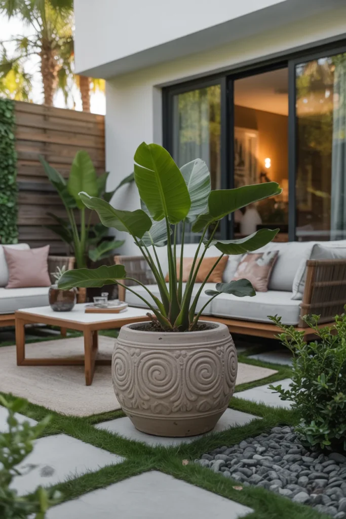Introduce One Statement Plant