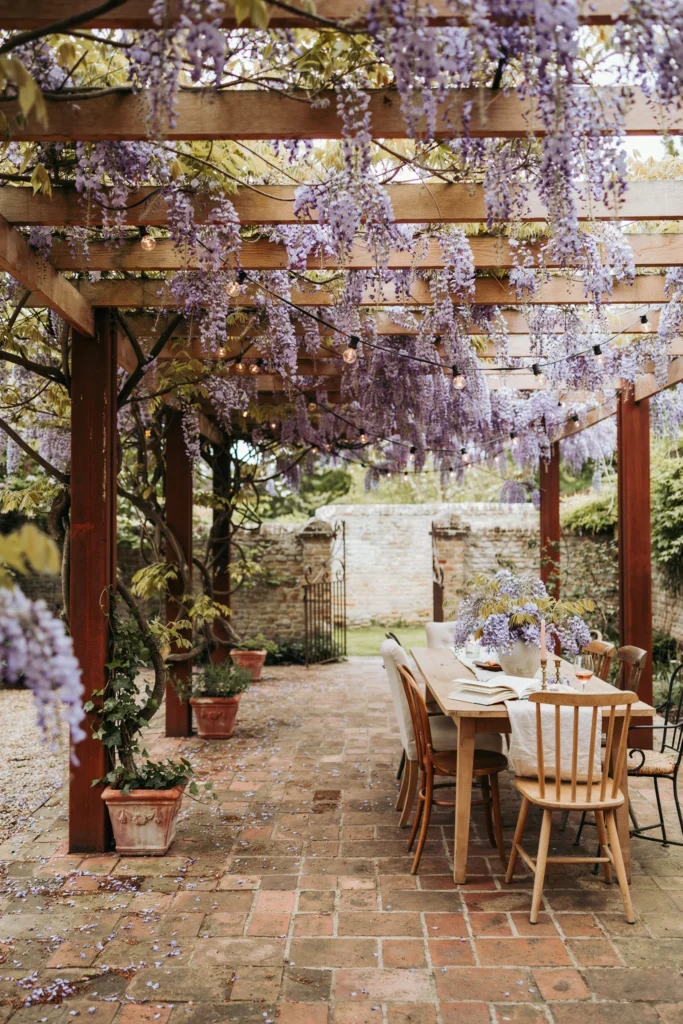 The Courtyard with Pergola and Trailing Plants