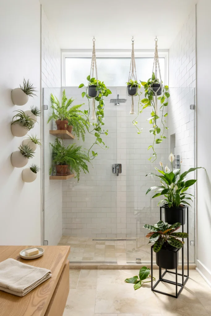 How to Display Shower Plants Beautifully
