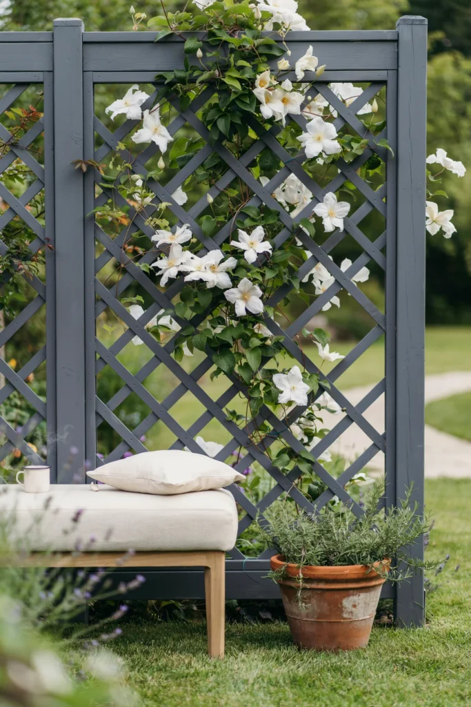 Lattice Panel Screen with Frame