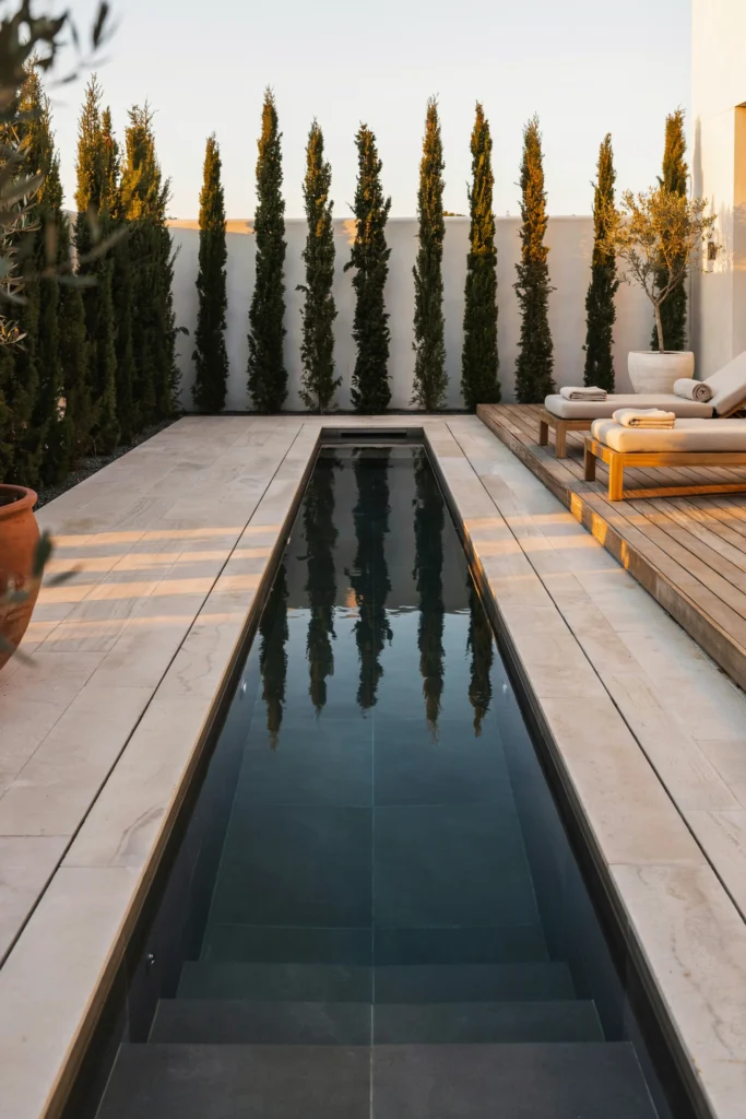The Courtyard With a Lap Pool