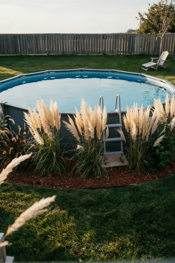Plant Tall Grasses Around the Base